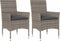 vidaXL - Tuinstoelen - 2 - st - met - kussens - poly - rattan - grijs