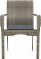 vidaXL - Tuinstoelen - 2 - st - met - kussens - poly - rattan - grijs