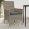 vidaXL - Tuinstoelen - 2 - st - met - kussens - poly - rattan - grijs