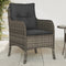 vidaXL - Tuinstoelen - 2 - st - met - kussens - poly - rattan - grijs