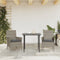 vidaXL - Tuinstoelen - 2 - st - met - kussens - poly - rattan - grijs