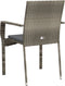 vidaXL - Tuinstoelen - 2 - st - met - kussens - poly - rattan - grijs