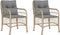 vidaXL - Tuinstoelen - 2 - st - met - kussens - poly - rattan - gemengd - beige