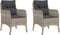 vidaXL - Tuinstoelen - 2 - st - met - kussens - poly - rattan - lichtgrijs