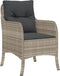 vidaXL - Tuinstoelen - 2 - st - met - kussens - poly - rattan - lichtgrijs