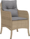vidaXL - Tuinstoelen - 2 - st - met - kussens - poly - rattan - gemengd - beige