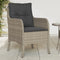 vidaXL - Tuinstoelen - 2 - st - met - kussens - poly - rattan - lichtgrijs
