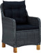vidaXL - Tuinstoelen - 2 - st - met - kussens - poly - rattan - donkergrijs