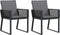 vidaXL - Tuinstoelen - 2 - st - met - kussens - poly - rattan - zwart