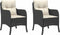 vidaXL - Tuinstoelen - 2 - st - met - kussens - poly - rattan - zwart