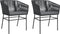 vidaXL - Tuinstoelen - 2 - st - met - kussens - poly - rattan - zwart