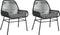 vidaXL - Tuinstoelen - 2 - st - met - kussens - poly - rattan - zwart