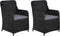 vidaXL - Tuinstoelen - 2 - st - met - kussens - poly - rattan - zwart