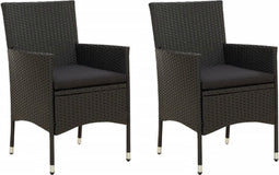vidaXL - Tuinstoelen - 2 - st - met - kussens - poly - rattan - zwart