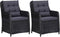 vidaXL - Tuinstoelen - 2 - st - met - kussens - poly - rattan - zwart