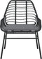 vidaXL - Tuinstoelen - 2 - st - met - kussens - poly - rattan - zwart