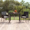 vidaXL - Tuinstoelen - 2 - st - met - kussens - poly - rattan - zwart