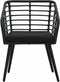 vidaXL - Tuinstoelen - 2 - st - met - kussens - poly - rattan - zwart