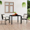 vidaXL - Tuinstoelen - 2 - st - met - kussens - poly - rattan - zwart
