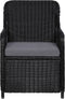 vidaXL - Tuinstoelen - 2 - st - met - kussens - poly - rattan - zwart