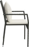 vidaXL - Tuinstoelen - 2 - st - met - kussens - poly - rattan - zwart