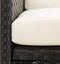 vidaXL - Tuinstoelen - 2 - st - met - kussens - poly - rattan - zwart