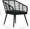 vidaXL - Tuinstoelen - 2 - st - met - kussens - poly - rattan - zwart