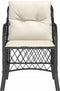 vidaXL - Tuinstoelen - 2 - st - met - kussens - poly - rattan - zwart