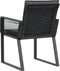 vidaXL - Tuinstoelen - 2 - st - met - kussens - poly - rattan - zwart