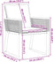vidaXL - Tuinstoelen - 2 - st - met - kussens - poly - rattan - zwart