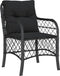 vidaXL - Tuinstoelen - 2 - st - met - kussens - poly - rattan - zwart