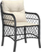 vidaXL - Tuinstoelen - 2 - st - met - kussens - poly - rattan - zwart