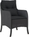 vidaXL - Tuinstoelen - 2 - st - met - kussens - poly - rattan - zwart