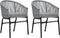 vidaXL - Tuinstoelen - 2 - st - PE-rattan - antracietkleurig