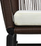 vidaXL - Tuinstoelen - 2 - st - PE-rattan - bruin