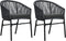 vidaXL - Tuinstoelen - 2 - st - PE-rattan - bruin