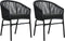 vidaXL - Tuinstoelen - 2 - st - PE-rattan - zwart