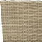 vidaXL - Tuinstoelen - 2 - st - poly - rattan - beige