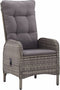 vidaXL - Tuinstoelen - 2 - st - poly - rattan - grijs