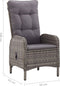 vidaXL - Tuinstoelen - 2 - st - poly - rattan - grijs