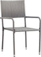 vidaXL - Tuinstoelen - 2 - st - poly - rattan - grijs