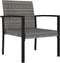 vidaXL - Tuinstoelen - 2 - st - poly - rattan - grijs