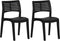 vidaXL - Tuinstoelen - 2 - st - polypropeen - antracietkleurig