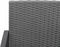 vidaXL - Tuinstoelen - 2 - st - polypropeen - rattan - donkergrijs