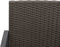 vidaXL - Tuinstoelen - 2 - st - polypropeen - rattan - zwart