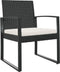 vidaXL - Tuinstoelen - 2 - st - polypropeen - rattan - zwart