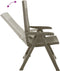 vidaXL - Tuinstoelen - 2 - st - verstelbaar - kunststof - mokka