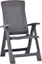 vidaXL - Tuinstoelen - 2 - st - verstelbaar - kunststof - mokka
