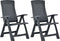 vidaXL - Tuinstoelen - 2 - st - verstelbaar - kunststof - antracietkleurig