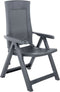 vidaXL - Tuinstoelen - 2 - st - verstelbaar - kunststof - antracietkleurig